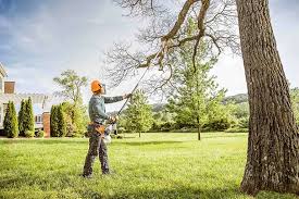  , USA Tree Care Services Pros